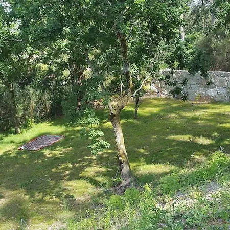 Quinta Do Penedo Real *